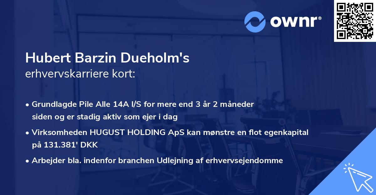 Hubert Barzin Dueholm's erhvervskarriere kort