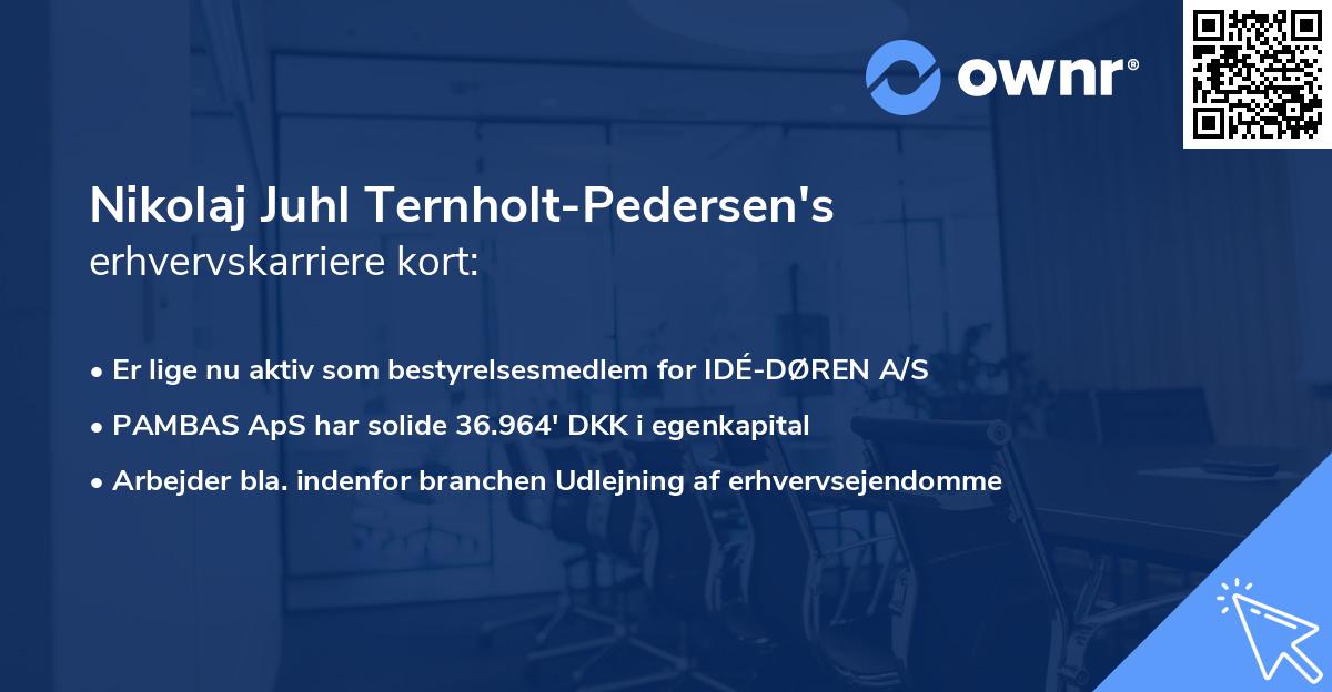 Nikolaj Juhl Ternholt-Pedersen's erhvervskarriere kort