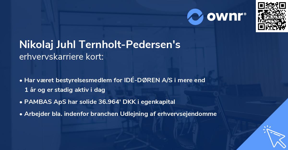 Nikolaj Juhl Ternholt-Pedersen's erhvervskarriere kort