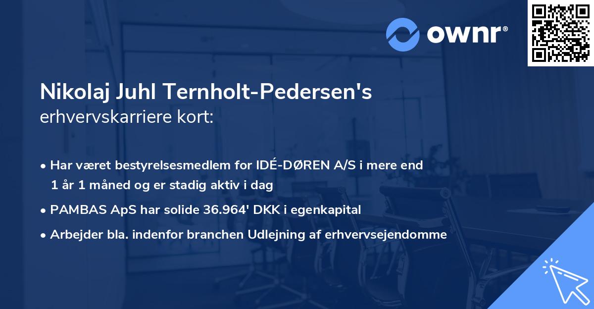 Nikolaj Juhl Ternholt-Pedersen's erhvervskarriere kort