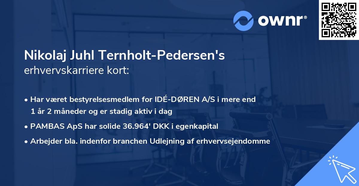 Nikolaj Juhl Ternholt-Pedersen's erhvervskarriere kort