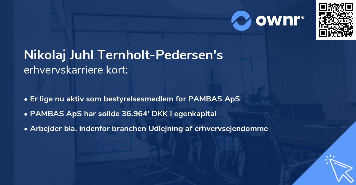Nikolaj Juhl Ternholt-Pedersen's erhvervskarriere kort
