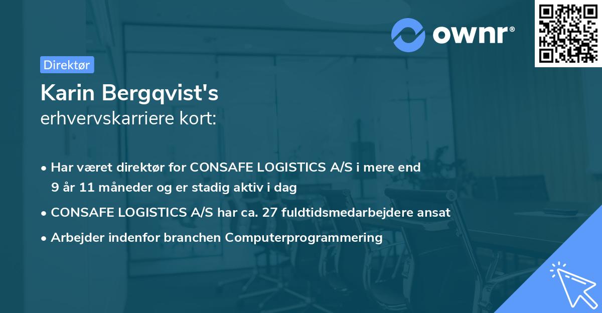 Karin Bergqvist's erhvervskarriere kort