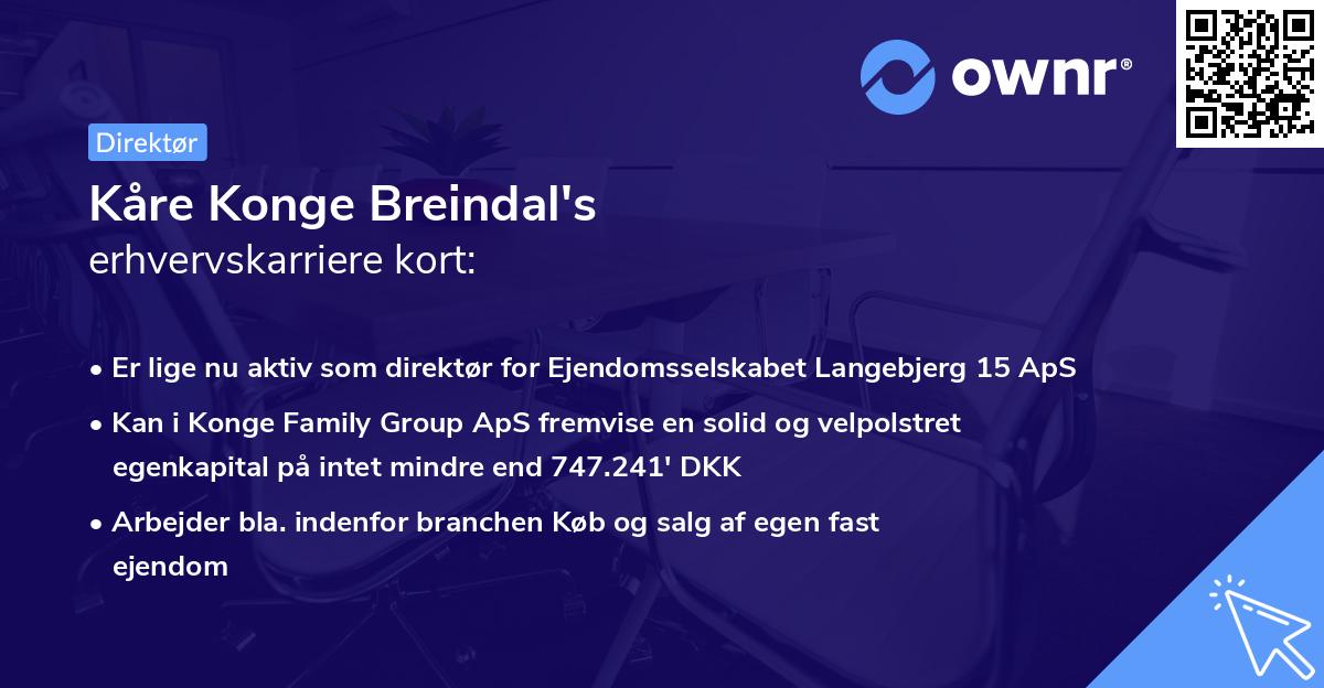Kåre Konge Breindal's erhvervskarriere kort