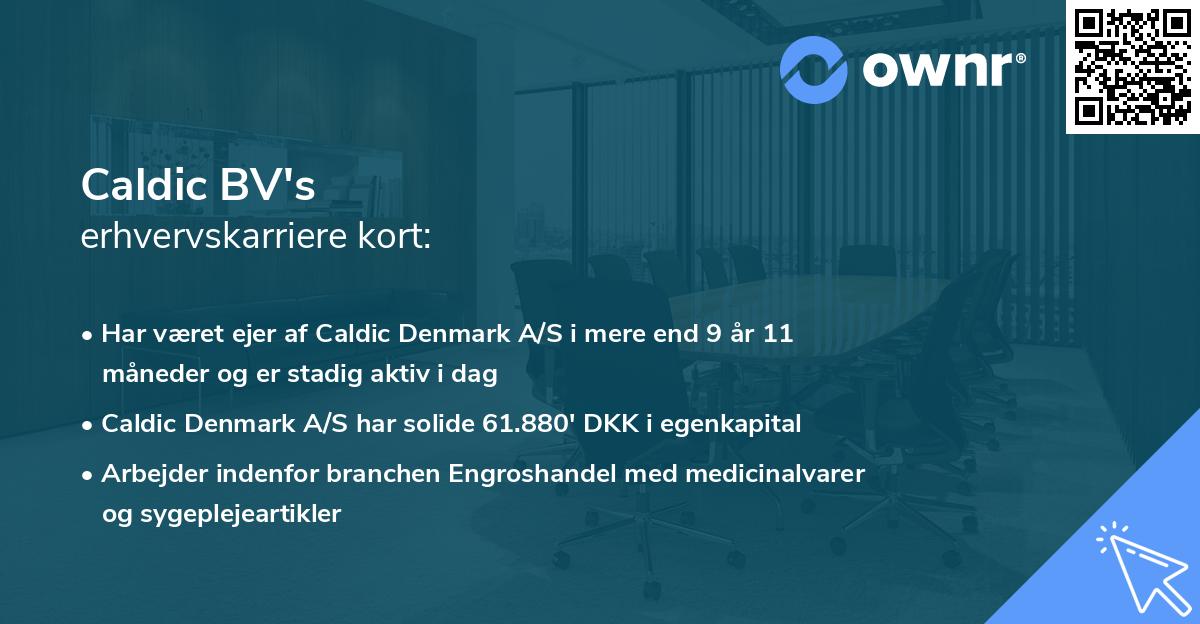 Caldic BV's erhvervskarriere kort