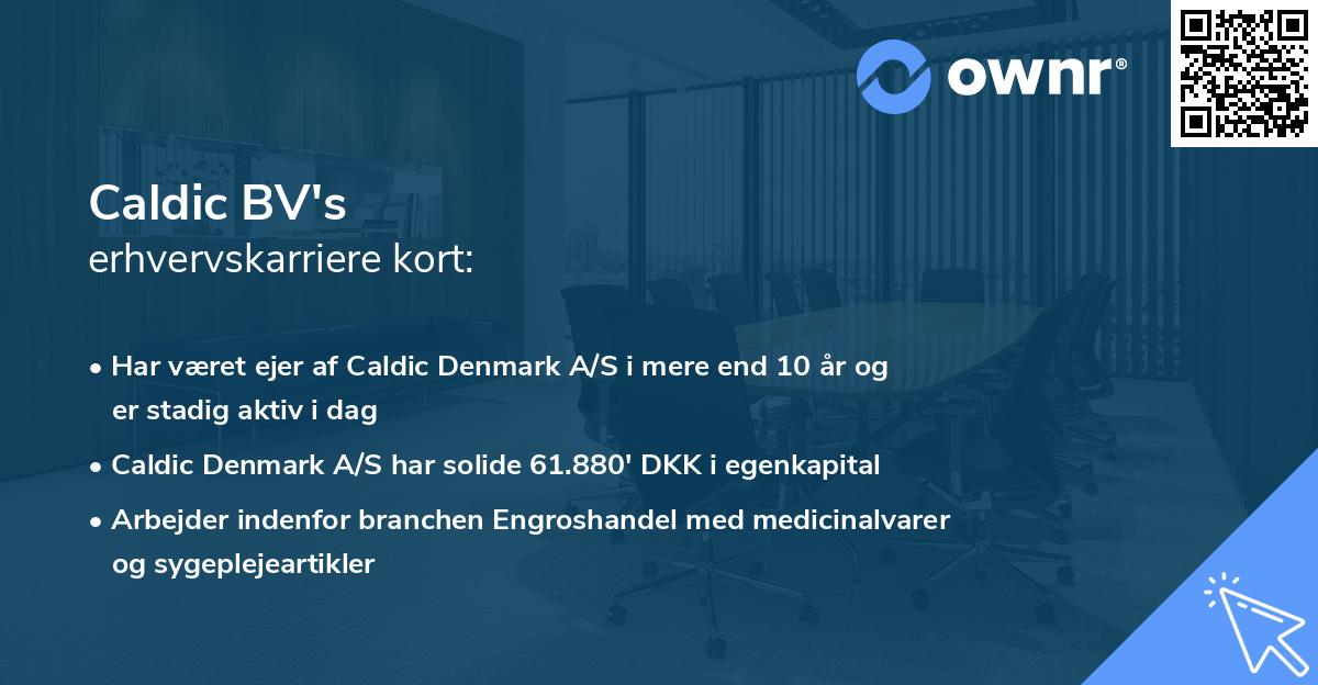 Caldic BV's erhvervskarriere kort