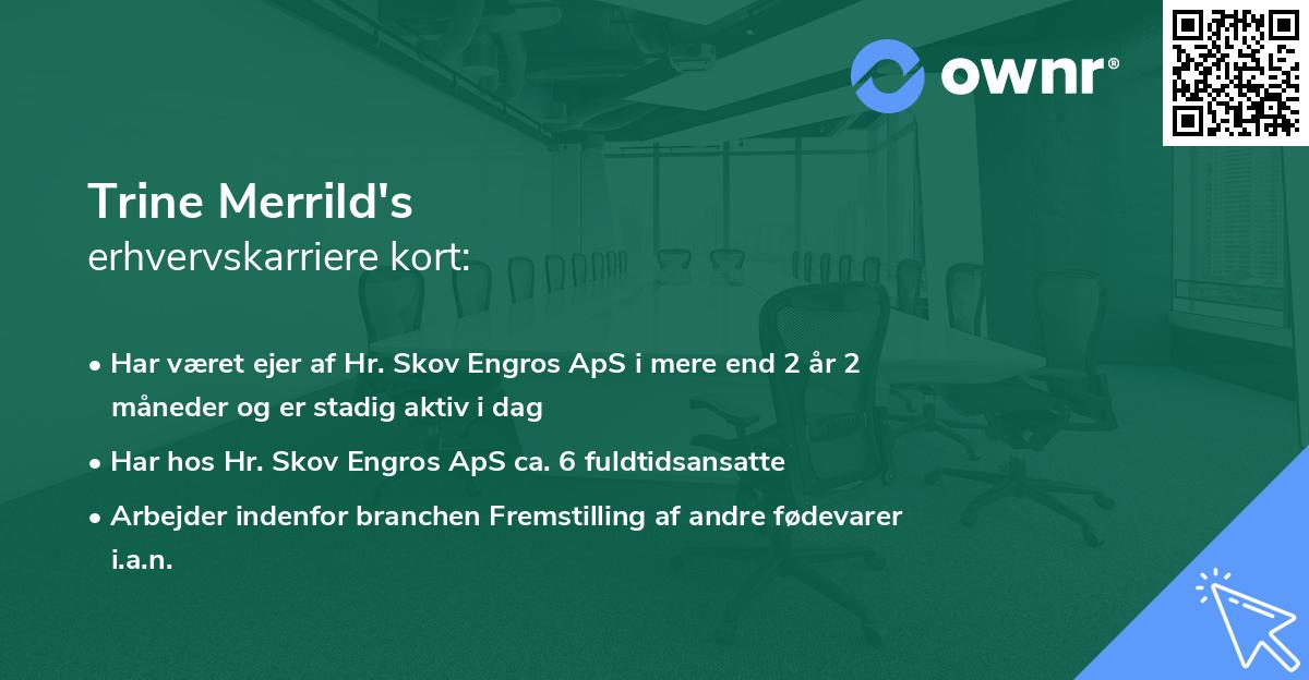Trine Merrild's erhvervskarriere kort