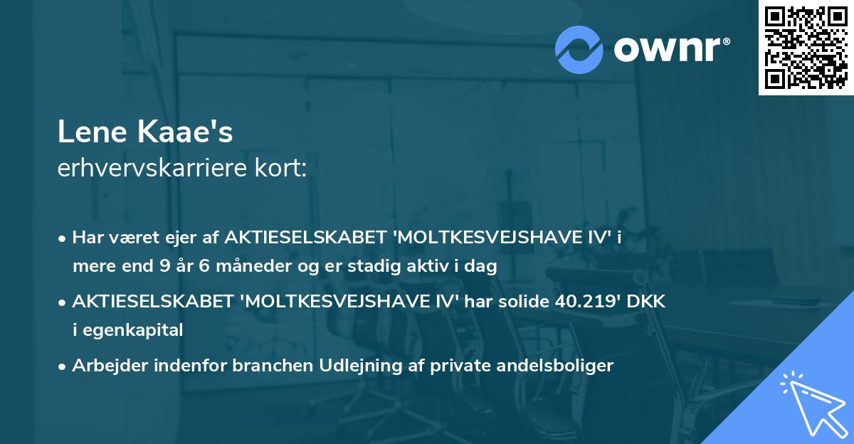 Lene Kaae's erhvervskarriere kort