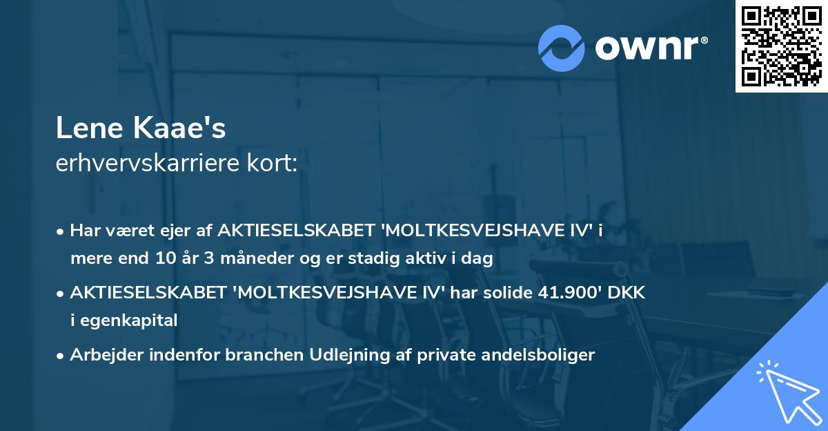 Lene Kaae's erhvervskarriere kort