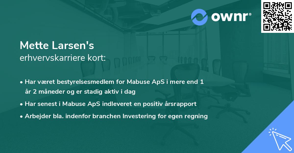 Mette Larsen's erhvervskarriere kort