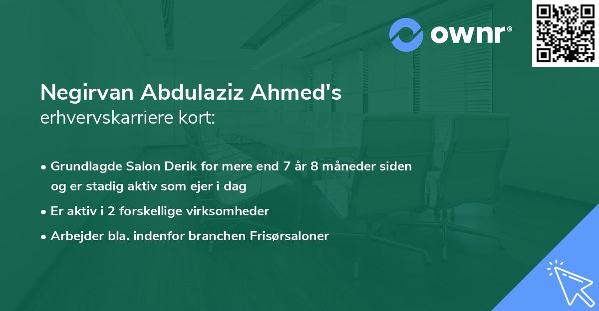 Negirvan Abdulaziz Ahmed's erhvervskarriere kort