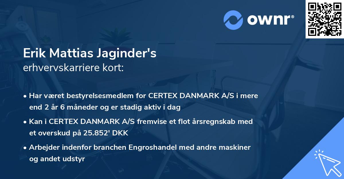 Erik Mattias Jaginder's erhvervskarriere kort