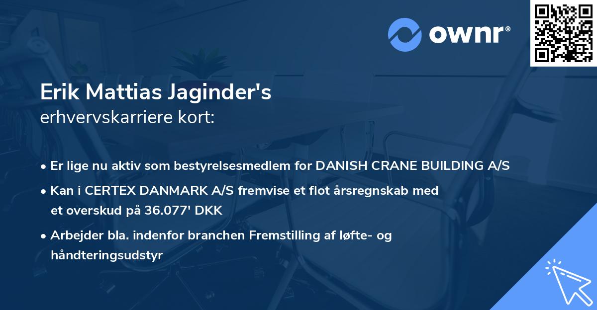 Erik Mattias Jaginder's erhvervskarriere kort