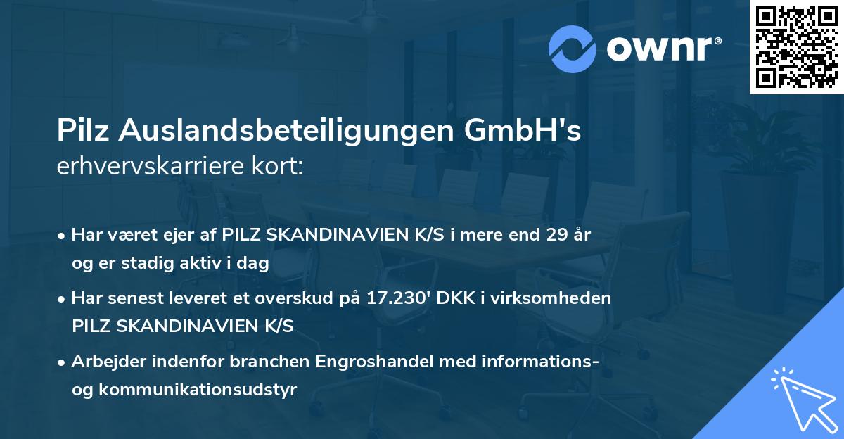 Pilz Auslandsbeteiligungen GmbH's erhvervskarriere kort