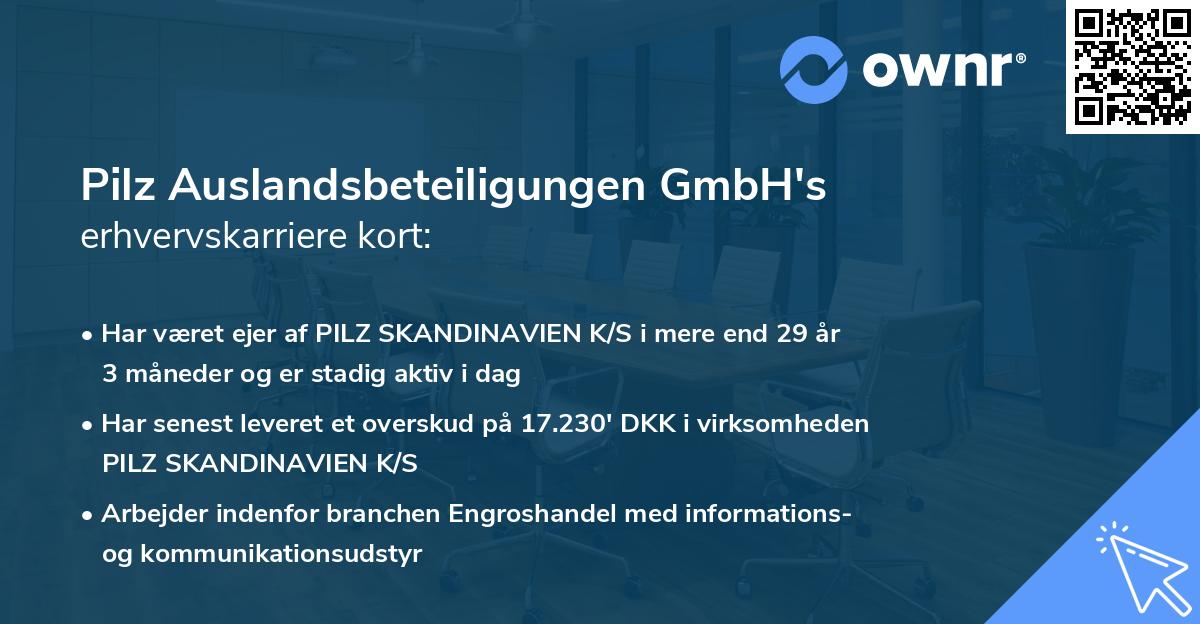 Pilz Auslandsbeteiligungen GmbH's erhvervskarriere kort