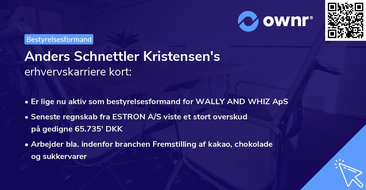 Anders Schnettler Kristensen's erhvervskarriere kort