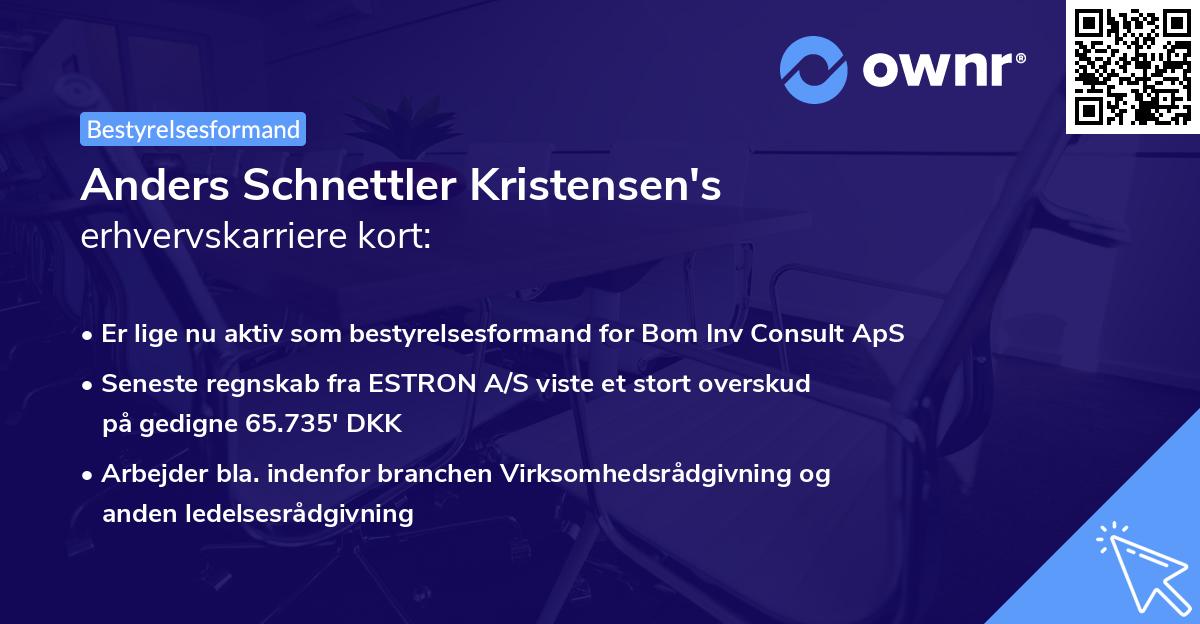 Anders Schnettler Kristensen's erhvervskarriere kort