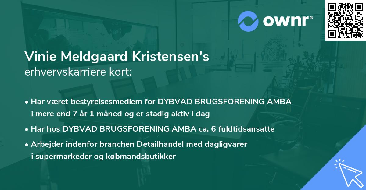 Vinie Meldgaard Kristensen's erhvervskarriere kort