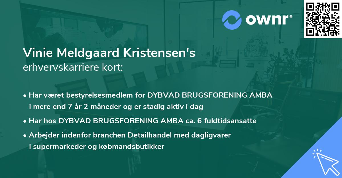 Vinie Meldgaard Kristensen's erhvervskarriere kort