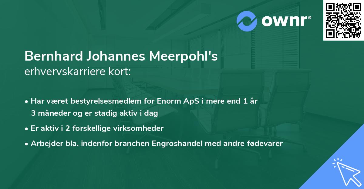 Bernhard Johannes Meerpohl's erhvervskarriere kort
