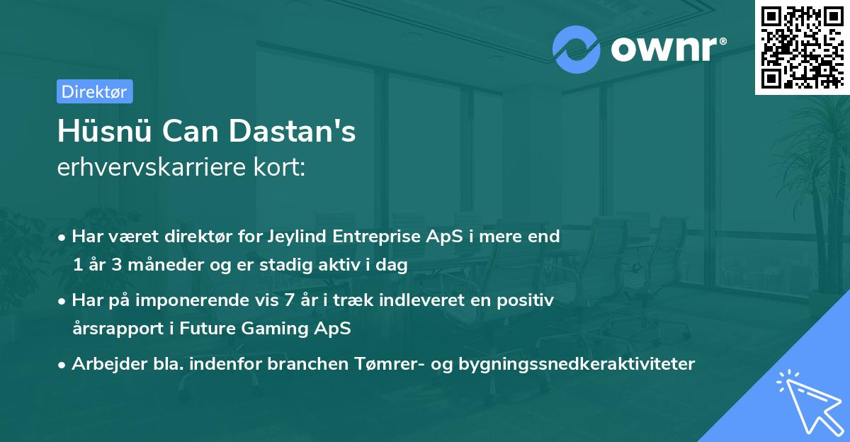 Hüsnü Can Dastan's erhvervskarriere kort