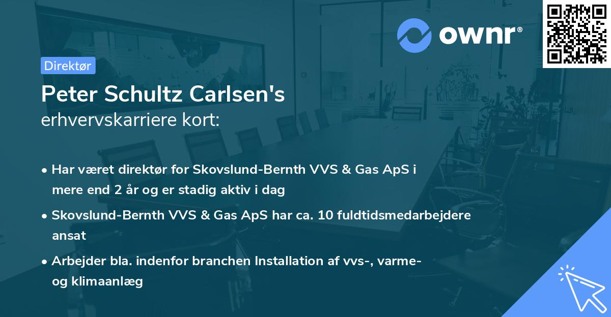 Peter Schultz Carlsen's erhvervskarriere kort