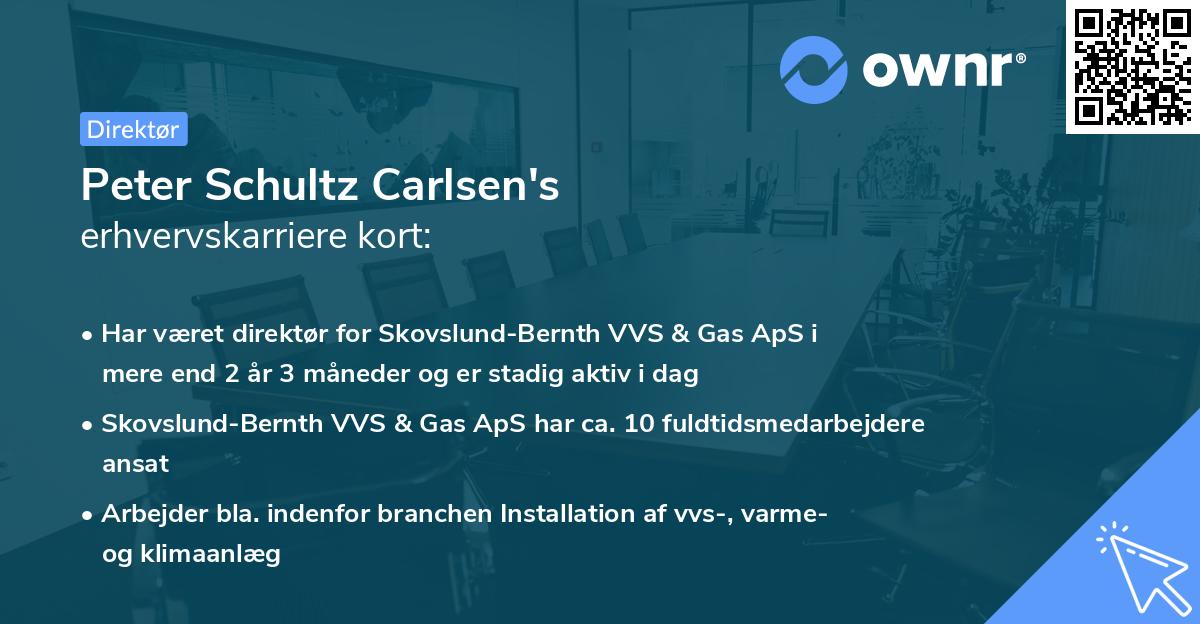 Peter Schultz Carlsen's erhvervskarriere kort
