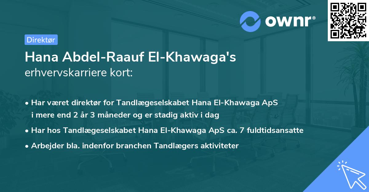 Hana Abdel-Raauf El-Khawaga's erhvervskarriere kort