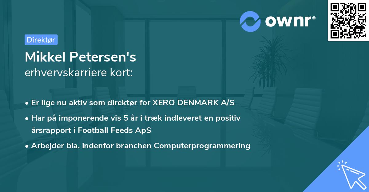 Mikkel Petersen's erhvervskarriere kort