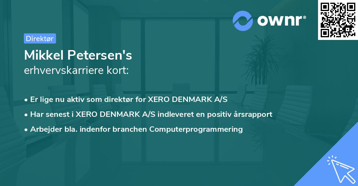 Mikkel Petersen's erhvervskarriere kort