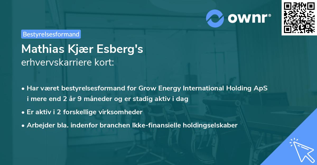 Mathias Kjær Esberg's erhvervskarriere kort