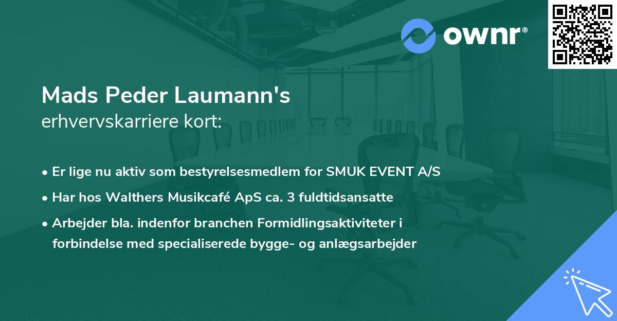 Mads Peder Laumann's erhvervskarriere kort