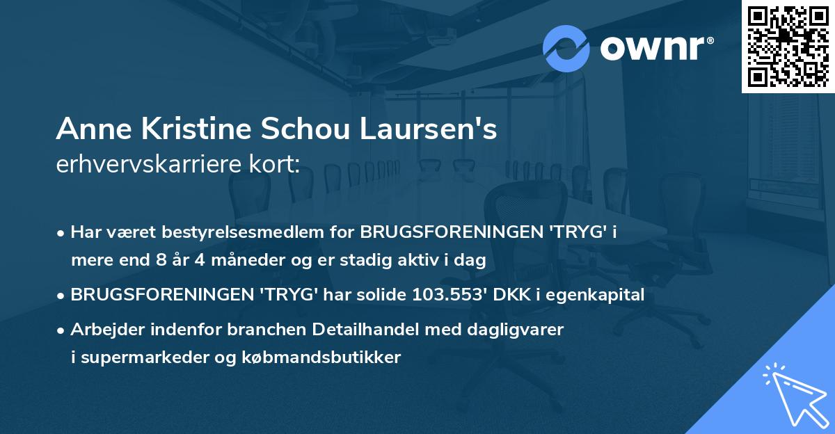 Anne Kristine Schou Laursen's erhvervskarriere kort