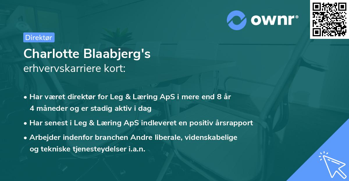 Charlotte Blaabjerg's erhvervskarriere kort