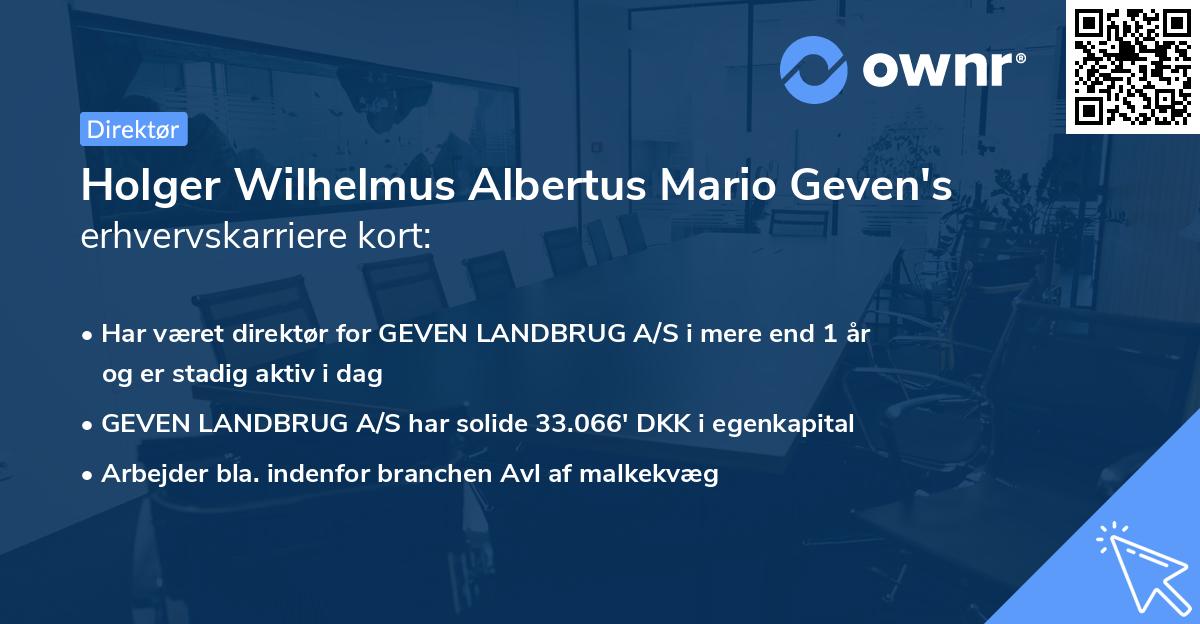 Holger Wilhelmus Albertus Mario Geven's erhvervskarriere kort