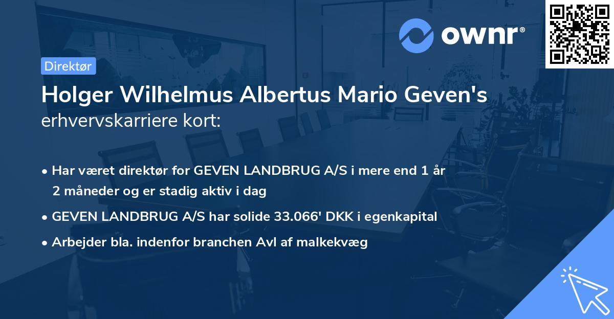 Holger Wilhelmus Albertus Mario Geven's erhvervskarriere kort