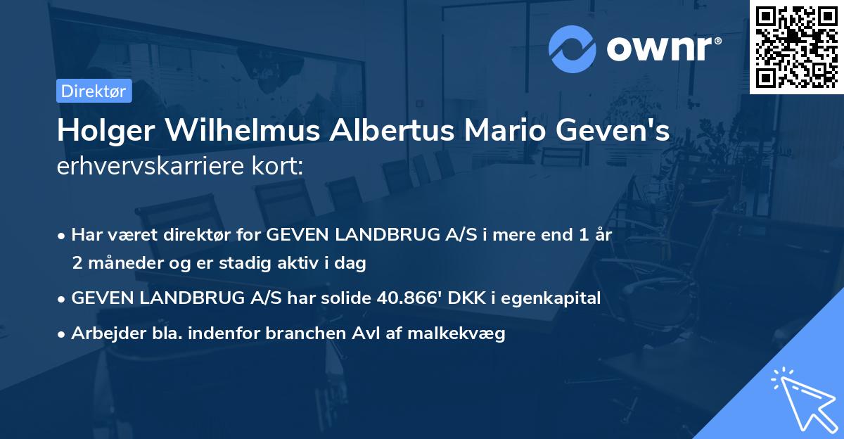 Holger Wilhelmus Albertus Mario Geven's erhvervskarriere kort