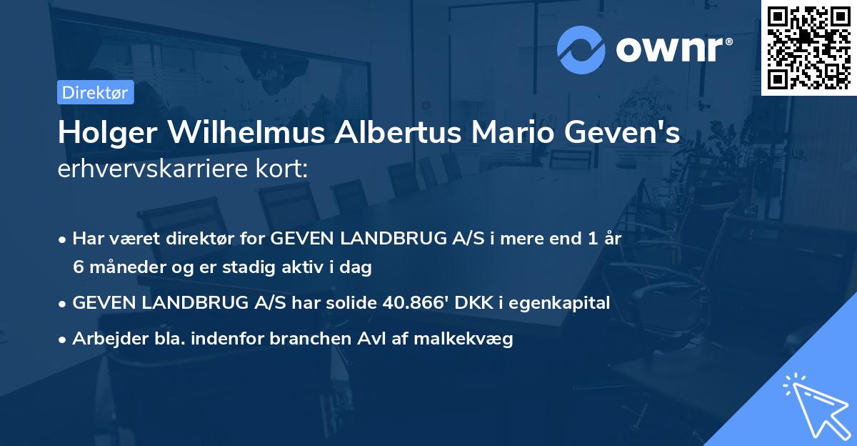 Holger Wilhelmus Albertus Mario Geven's erhvervskarriere kort