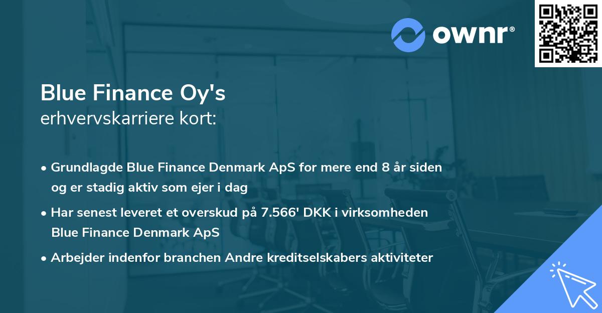 Blue Finance Oy's erhvervskarriere kort