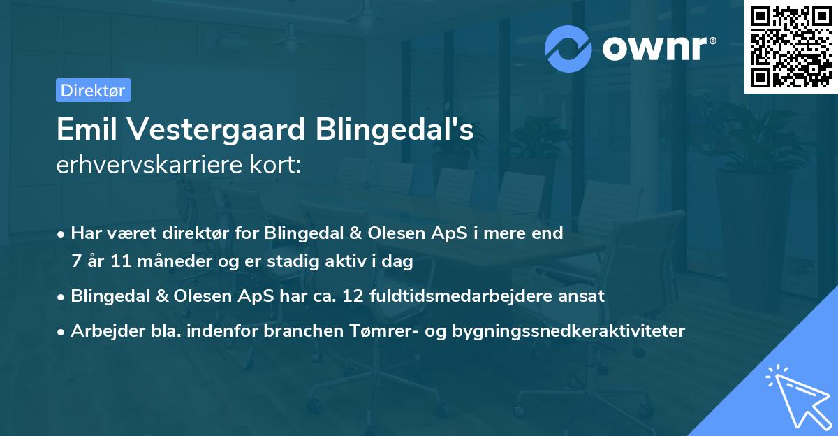 Emil Vestergaard Blingedal's erhvervskarriere kort