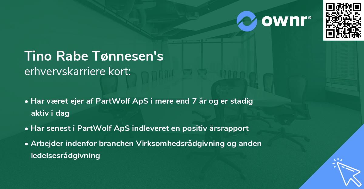 Tino Rabe Tønnesen's erhvervskarriere kort