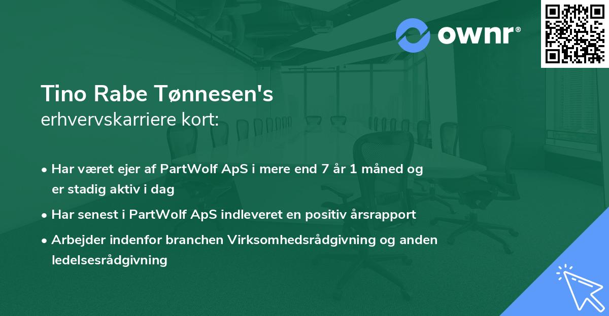 Tino Rabe Tønnesen's erhvervskarriere kort