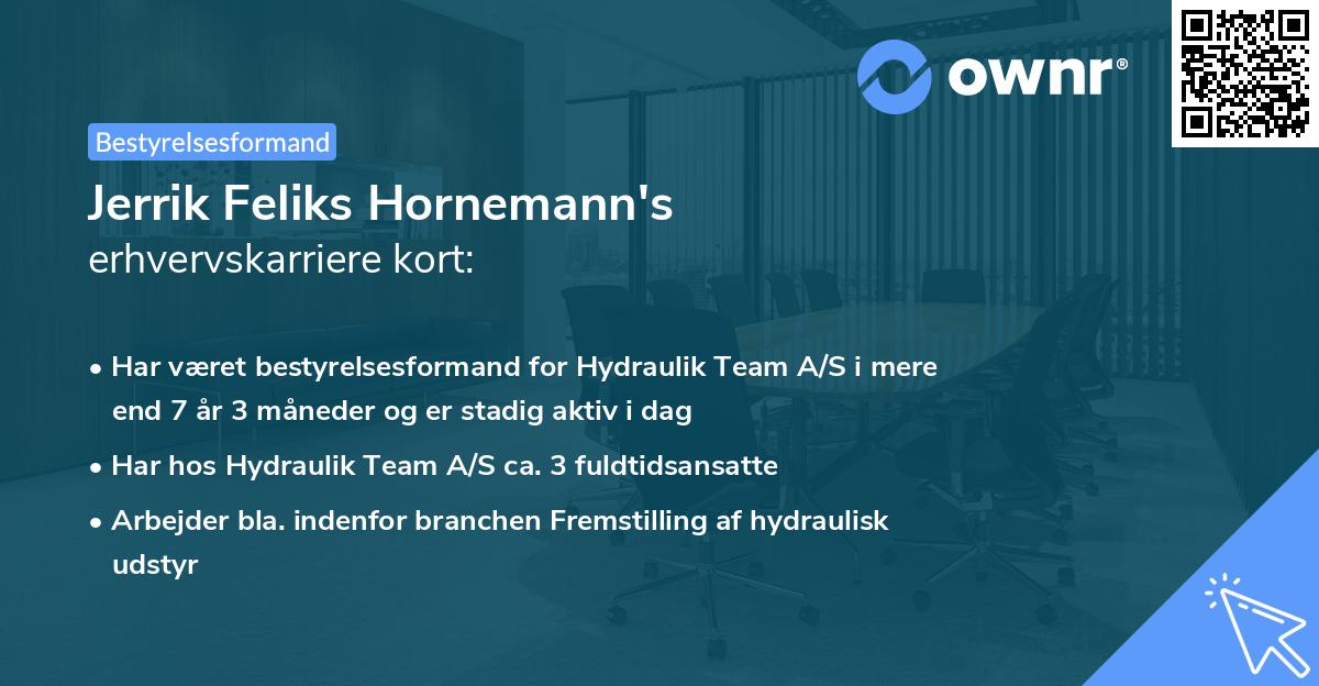 Jerrik Feliks Hornemann's erhvervskarriere kort