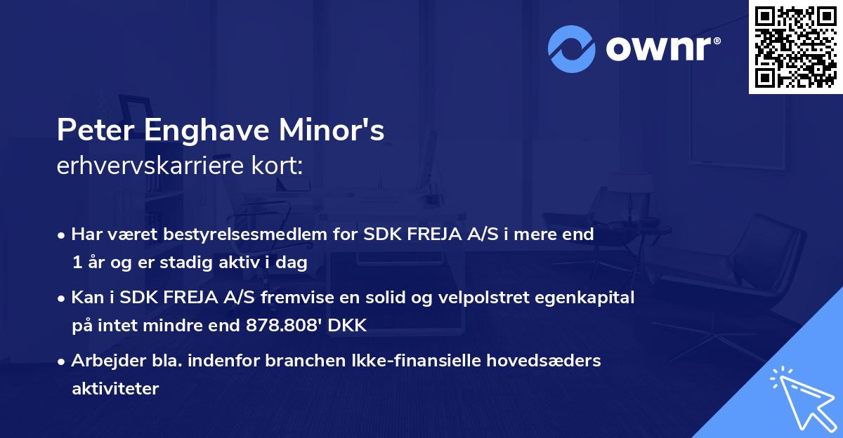Peter Enghave Minor's erhvervskarriere kort