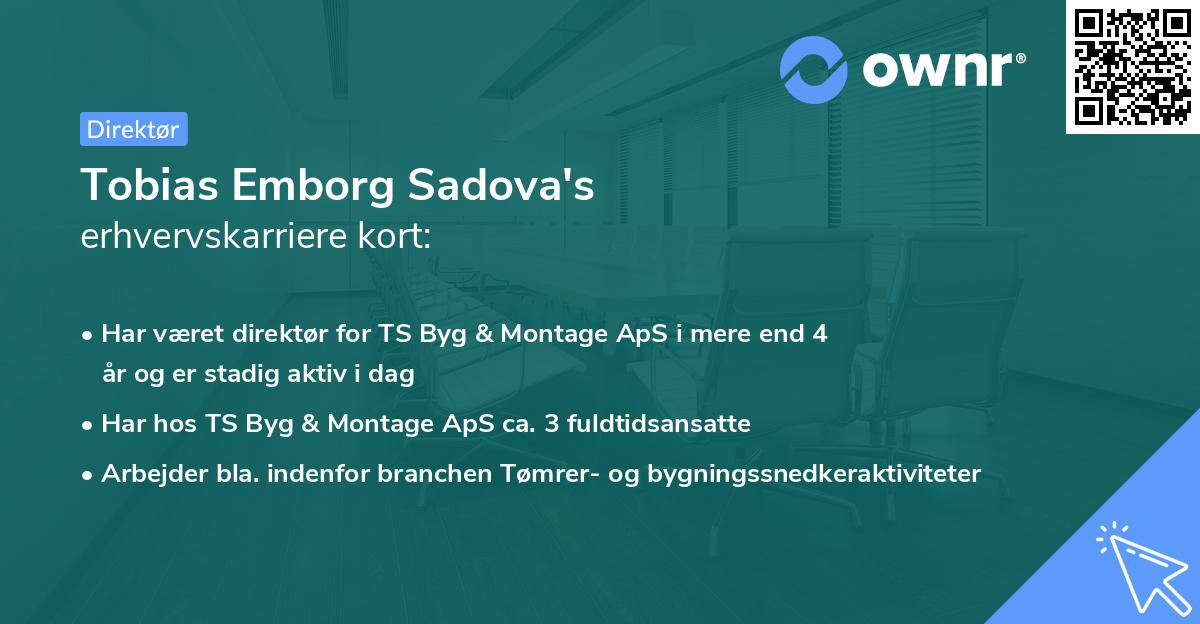 Tobias Emborg Sadova's erhvervskarriere kort