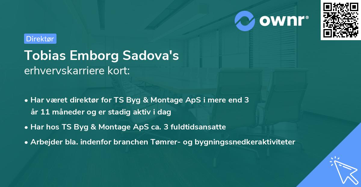 Tobias Emborg Sadova's erhvervskarriere kort