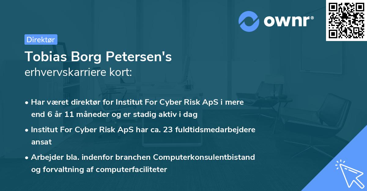 Tobias Borg Petersen's erhvervskarriere kort