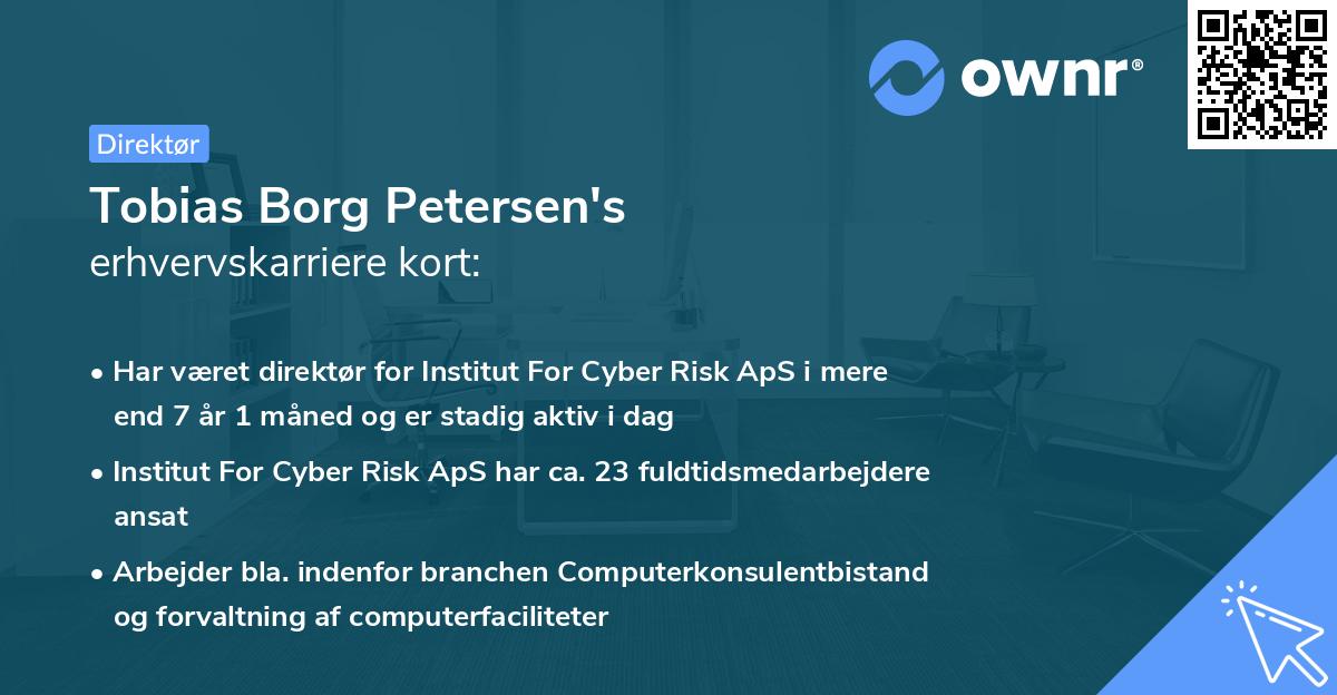 Tobias Borg Petersen's erhvervskarriere kort