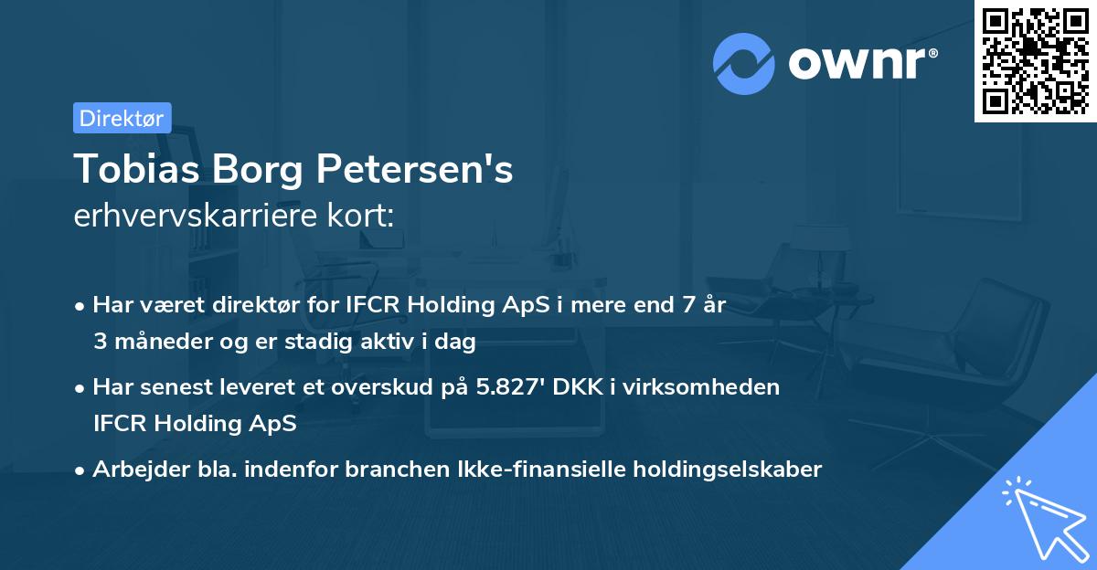 Tobias Borg Petersen's erhvervskarriere kort