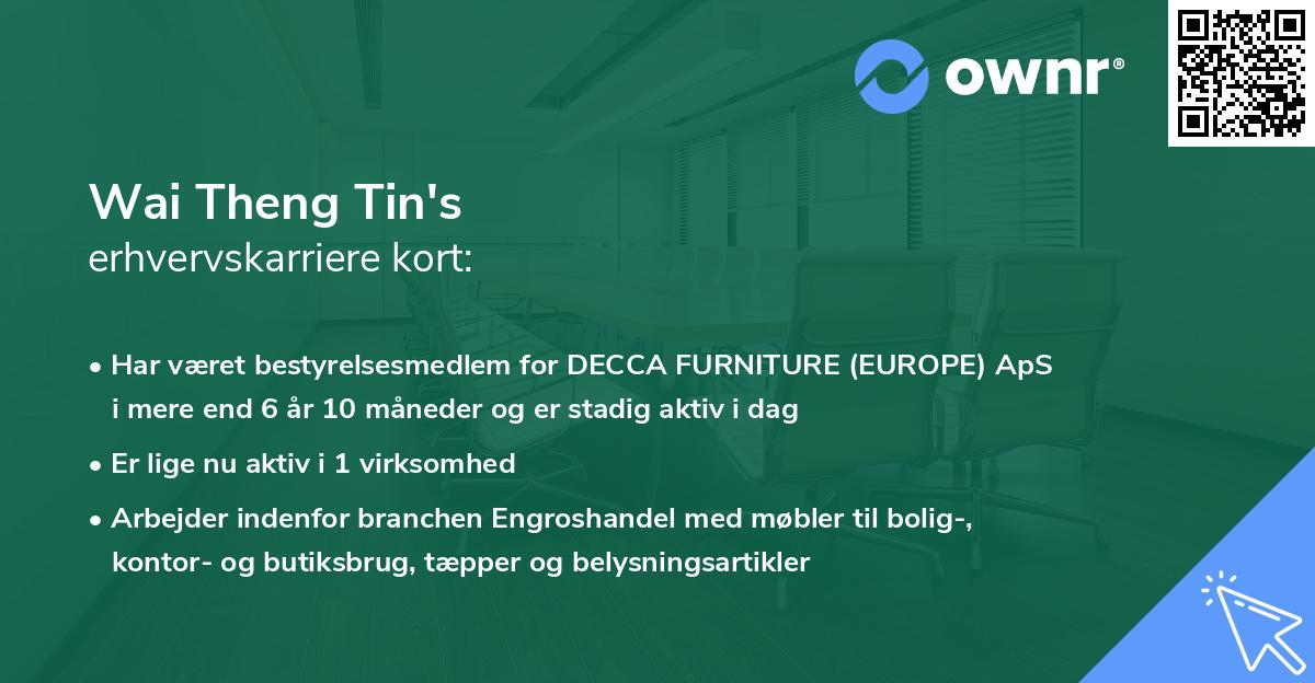 Wai Theng Tin's erhvervskarriere kort